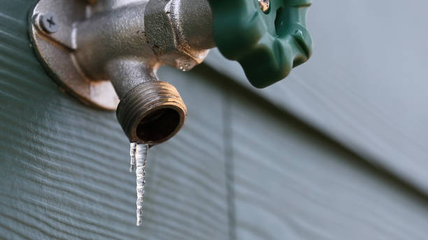 Best Drain Cleaning Services  in Miramar Beach, FL