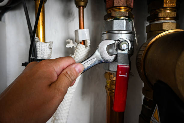 Best Toilet Repair Services  in Miramar Beach, FL